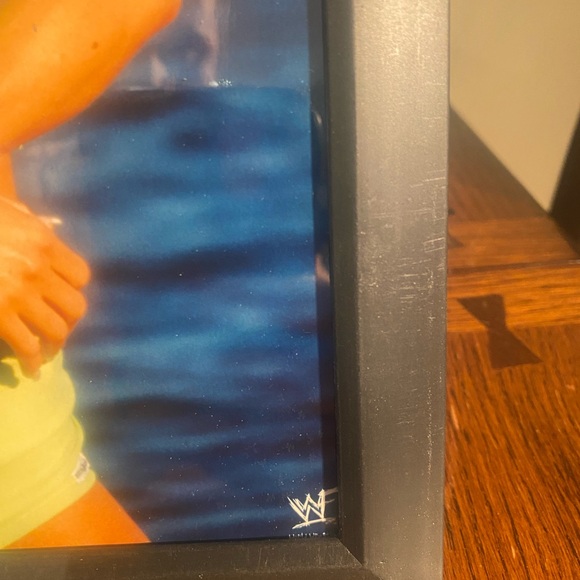 WWF Rare Original Sable Swimsuit 8”x 10” Photo Framed - Picture 4 of 6